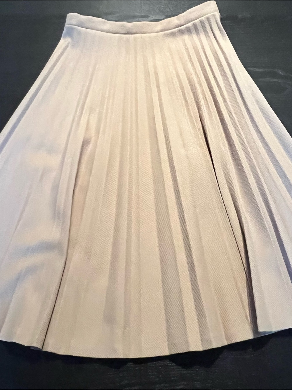 Vintage Alfred Dunner Pleated Circle Skirt in Light Beige